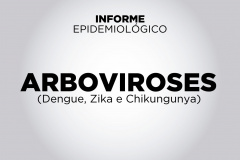 Mais 5.514 casos e seis óbitos por dengue são confirmados no Paraná