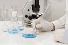 Inscrições para mestrado e doutorado em Biotecnologia Ambiental na UEM encerram dia 25