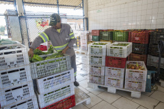  Programa da Ceasa Paraná faz doação de 6 mil quilos de hortigranjeiros ao Hospital Erasto Gaertner