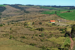 Profissionais realizam pesquisa de campo no entorno de Unidades de Conservação do Paraná