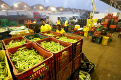 Ceasa Londrina estará aberta na próxima quarta-feira; as outras quatro unidades do Estado fecham