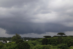 Clima