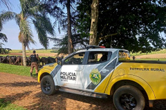 Em 90 dias, Operação Segurança Rural prende mais de 100 pessoas e apreende 32 armas em ambientes rurais