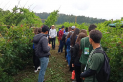 Estudantes conhecem tecnologias para a produção de frutas de clima temperado na Estação de Pesquisa do IDR-Paraná