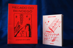 Lançamento de livros, fala-performance e exibição de curtas levam  artista indígena Gustavo Caboco ao MUPA