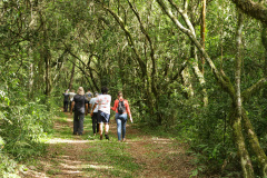 Com recuperação dos Caminhos do Peabiru, Estado vai aproveitar potencial da trilha histórica