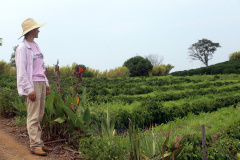 Banco do Agricultor ultrapassa R$ 300 milhões em financiamentos de projetos sustentáveis no campo