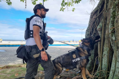 PCPR realiza fiscalização no Litoral com auxílio de cães policiais