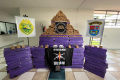 Após denúncia via 181, PMPR apreende 912 quilos de drogas em Apucarana