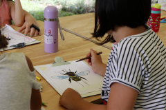 Programação de férias no MUPA