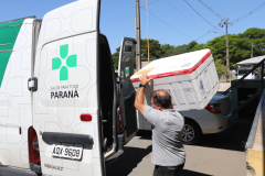 Estado inicia semana com distribuição de mais de 204 mil vacinas contra a Covid-19