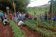 IDR-Paraná investe em capacitação para incentivar a produção agroecológica