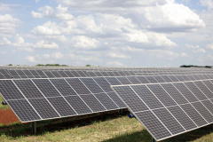 Fomento Paraná renova linha de crédito para energias renováveis com recursos internacionais