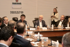 VICE-GOVERNADOR