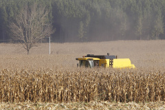 pesar do clima, agropecuária do Paraná manteve alto rendimento em 2022