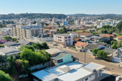 palmas