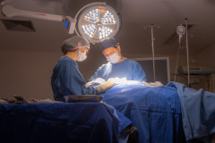 Hospitais das universidades estaduais do Paraná registram aumento na captação de órgãos e tecidos