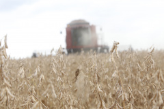 PARANÁ AGRO