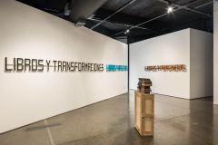  Marilá Dardot - Exposição MUPA