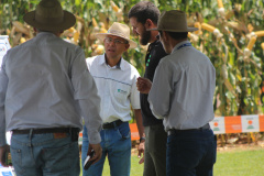 IDR-Paraná supera 200 mil atendimentos no Show Rural e fica ainda mais perto do produtor