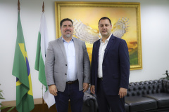 GOVERNADOR