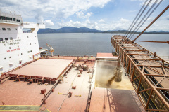 Navio chega para carregar quase 108 mil toneladas de farelo de soja no Porto de Paranaguá