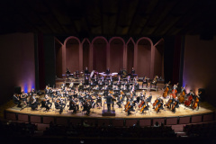 Orquestra Sinfônica do Paraná no Guairão