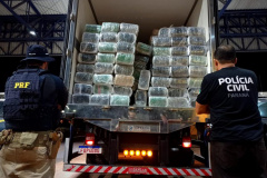 PCPR e PRF apreendem mais de 1,9 tonelada de maconha em Cascavel