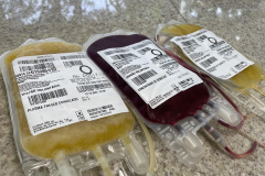 Hemocentro distribui mais de 500 bolsas de hemocomponentes por mês
