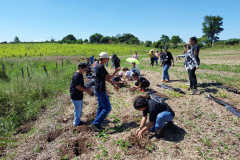 Regionais do IAT plantaram cerca de 18 mil mudas em diferentes localidades do Estado para recuperar matas ciliares