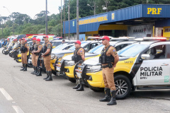 Operação Safra