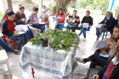 Projeto da Unicentro incentiva autonomia de agricultoras por meio do uso  de plantas medicinais
