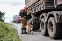 Polícia Militar inicia ações para intensificar segurança nas rodovias estaduais
