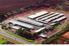 Ceasa de Londrina estará aberta no 1º de Maio, Dia do Trabalhador