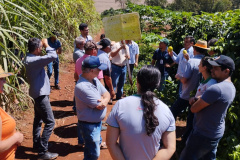 IDR-Paraná incentiva produção de frutas orgânicas em Arapongas