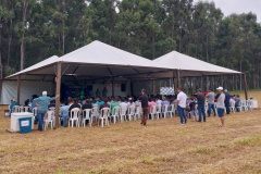 Rondon recebe 1° Encontro Regional de Produtores de Mandioca