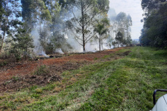 IAT finaliza queima controlada contra espécies invasoras no Parque de Vila Velha
