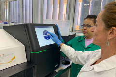 Para entender a doença, Paraná recebe treinamento de sequenciamento de genoma de chikungunya