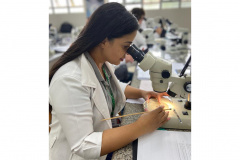 Em parceria com Ministério da Saúde, Paraná realiza capacitação para identificação do vetor de febre maculosa