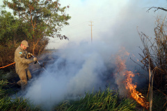 Campanha de Prevenção e Combate aos Incêndios Florestais 2023 será lançada nesta semana
