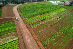 São José dos Pinhais, 