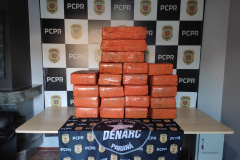  PCPR prende mulher por tráfico de drogas e apreende 434 quilos de maconha 