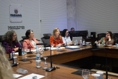 SEMI: Conselho Estadual dos Direitos da Mulher instituiu comissão eleitoral e definiu pautas para a garantia de direitos