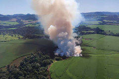  Fiscalização do IAT em parceria com a Força-Verde e a Marinha resultou em prisão, multas e o embargo de áreas desmatadas.