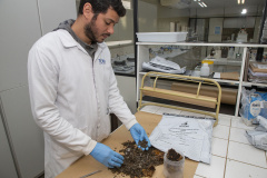 Técnicos do Tecpar analisam as amostras coletadas de abelhas mortas e favos  para  identificar se há resíduos de agrotóxicos.