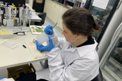 Sequenciamento de genoma