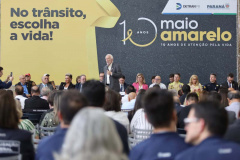 MAIO AMARELO