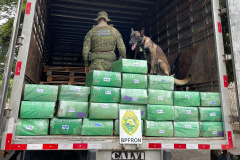 Polícia Militar prende homem e apreende 700 quilos de maconha em Douradina