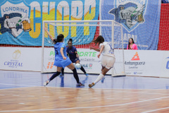  Taça Brasil de Futsal Feminino acontece em Londrina nesta semana 