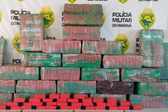 *Polícia Militar apreende 450 quilos de maconha na PR-082*